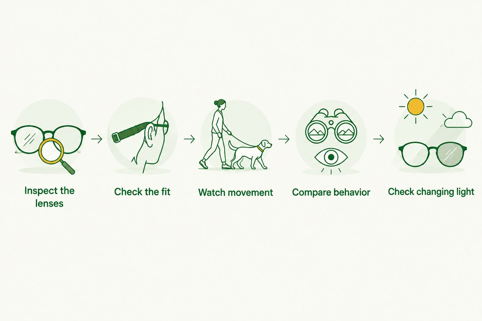 Five checks for dog goggle visibility, from inspecting lenses to checking changing light