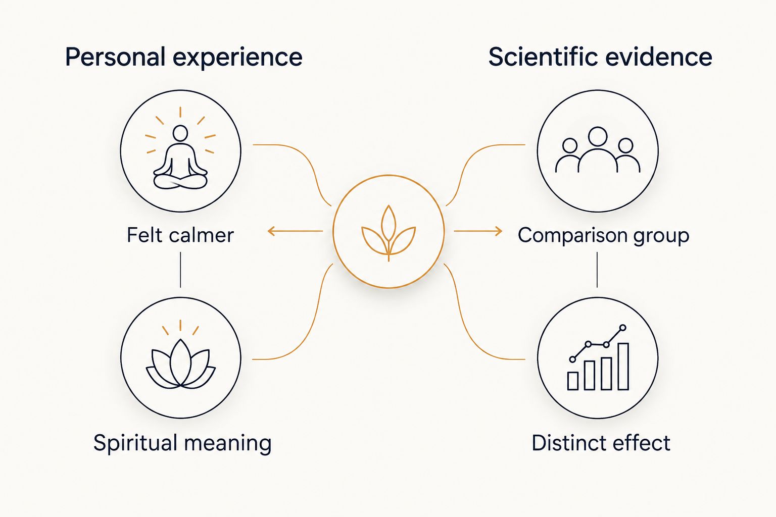 Comparison of personal Reiki experience and evidence for a distinct Reiki effect