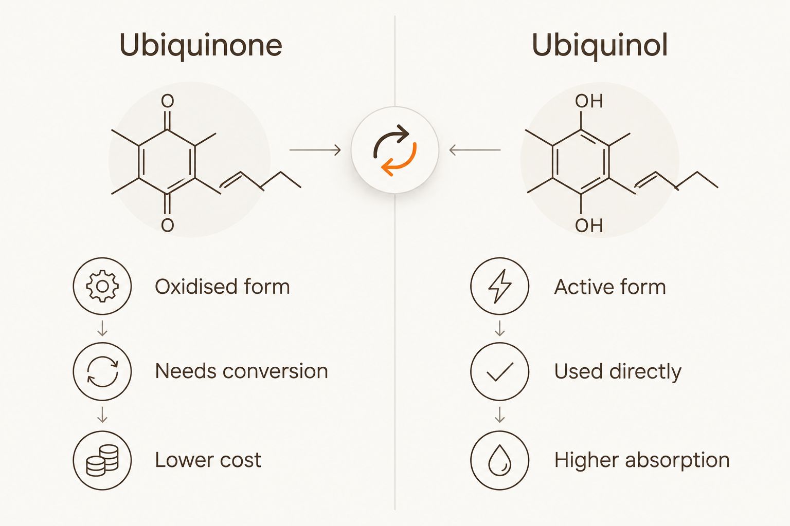 Two-column comparison of ubiquinone and ubiquinol CoQ10 forms
