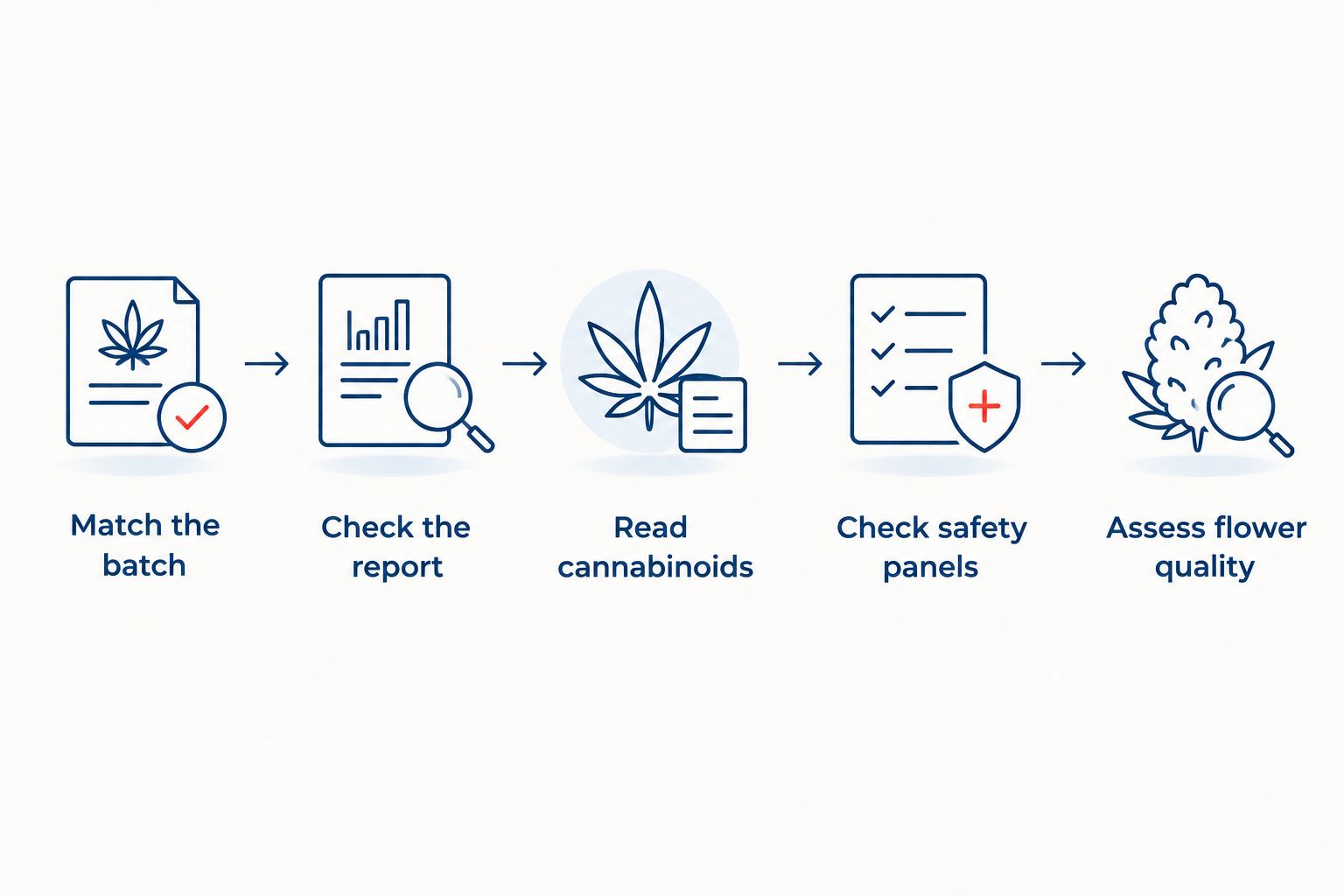 Five steps for checking a flower COA, from matching the batch to assessing flower quality.