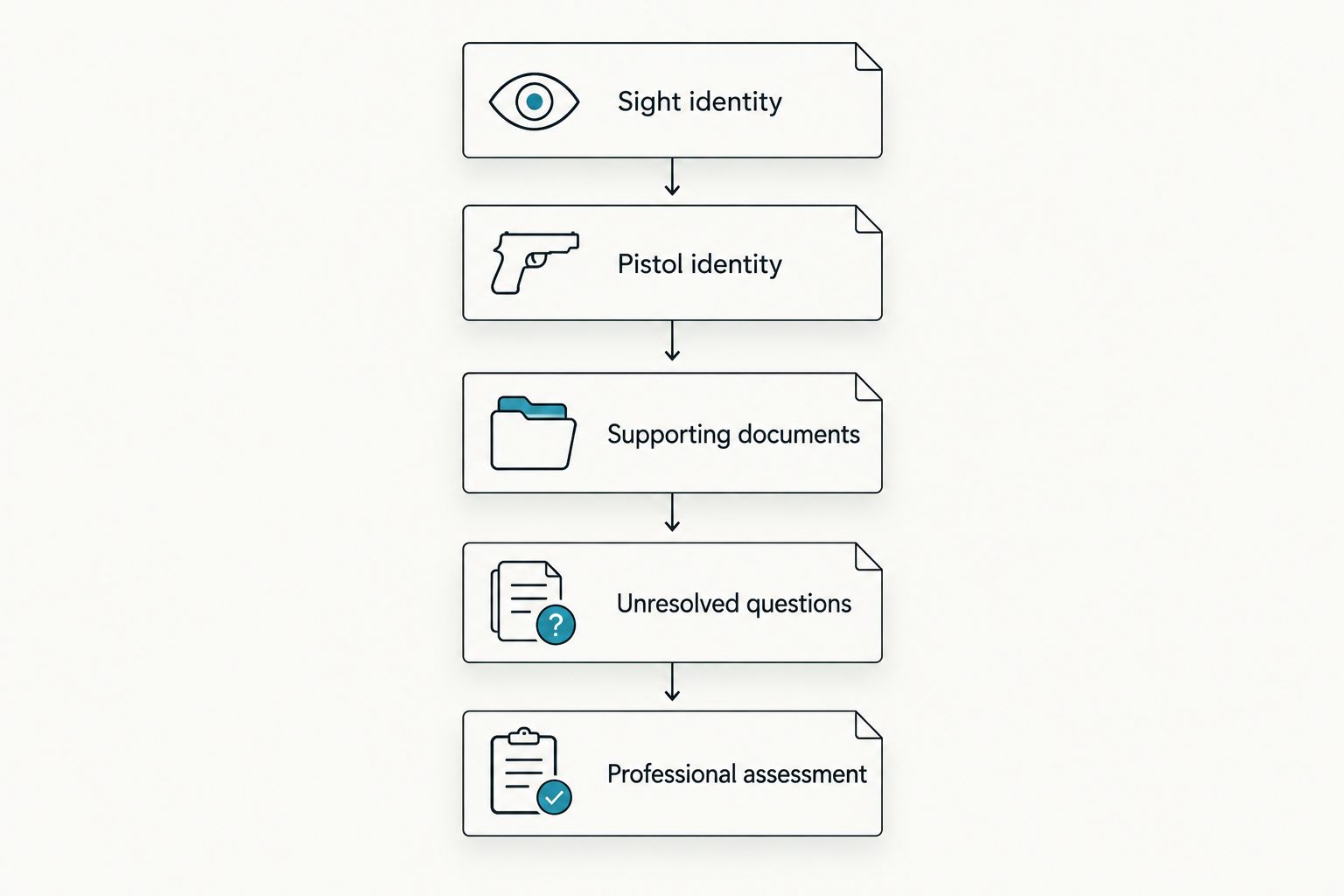 Documentation sequence from exact sight and pistol identification to professional assessment