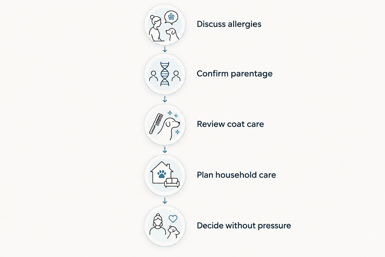 Decision steps covering allergies, parentage, coat care, household planning, and a pressure-free choice.