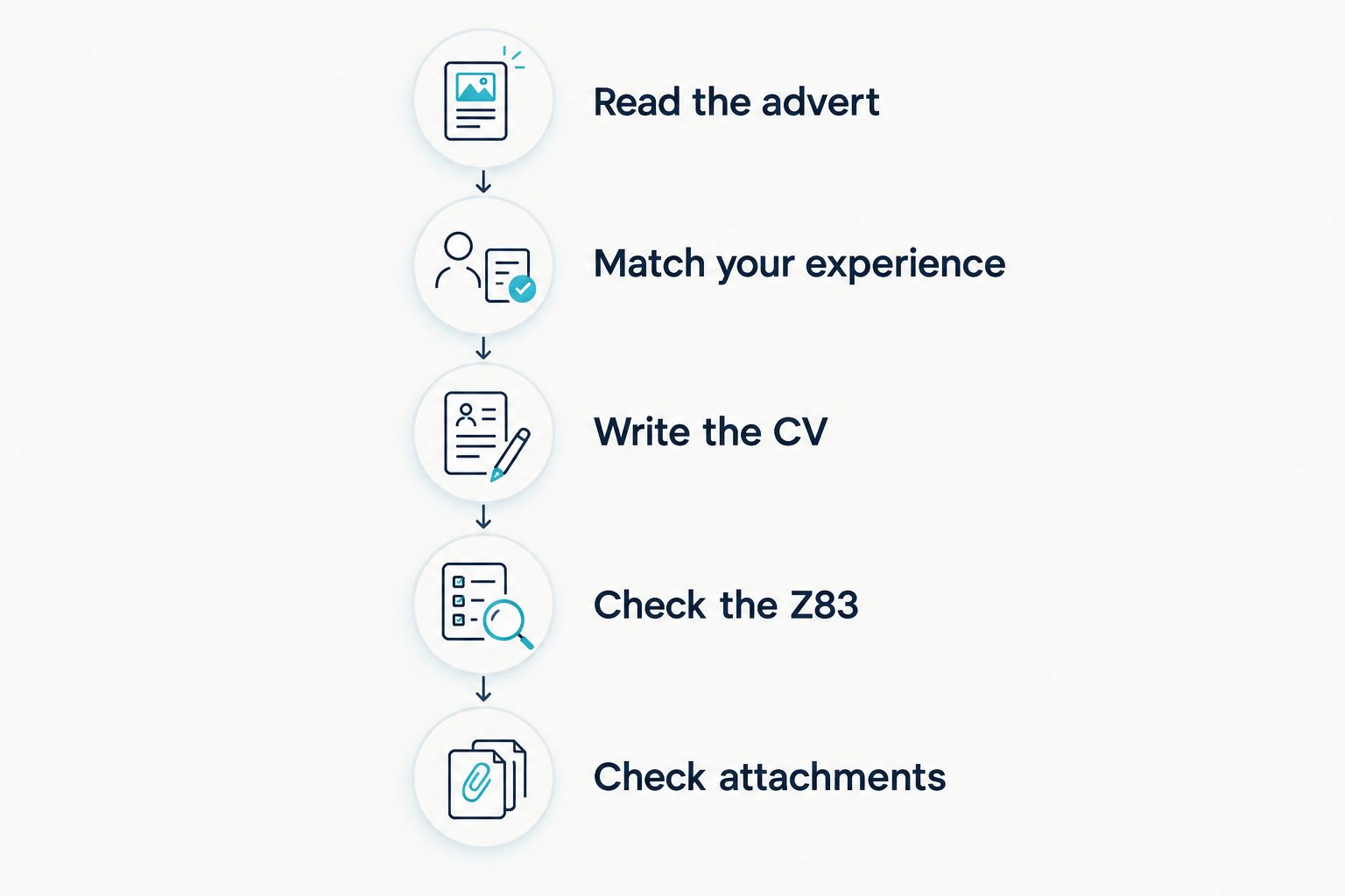 Steps for preparing a government job CV and checking the application