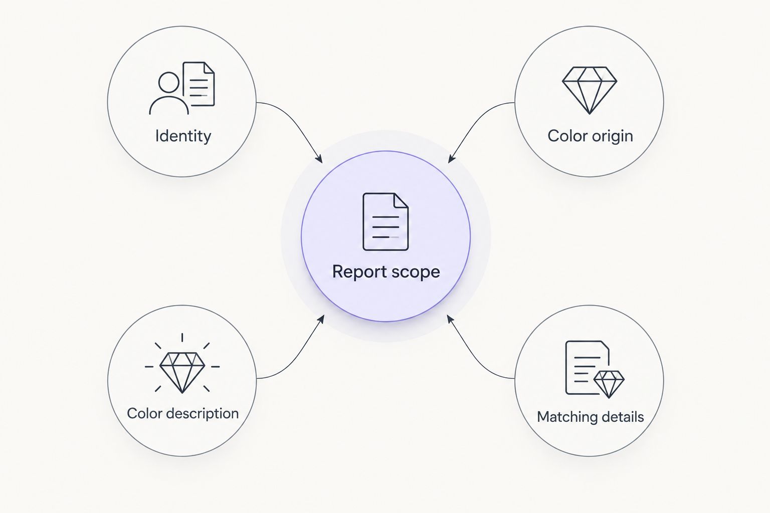 Report checklist covering identity, color origin, color description, matching details, and report scope