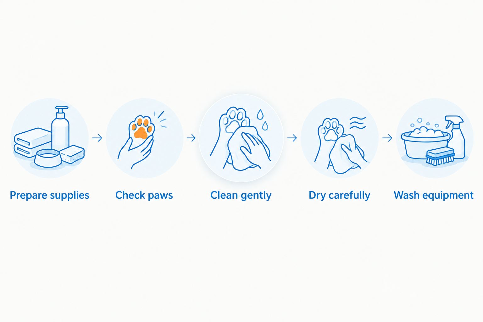 Paw-cleaning sequence from preparing supplies to washing the equipment
