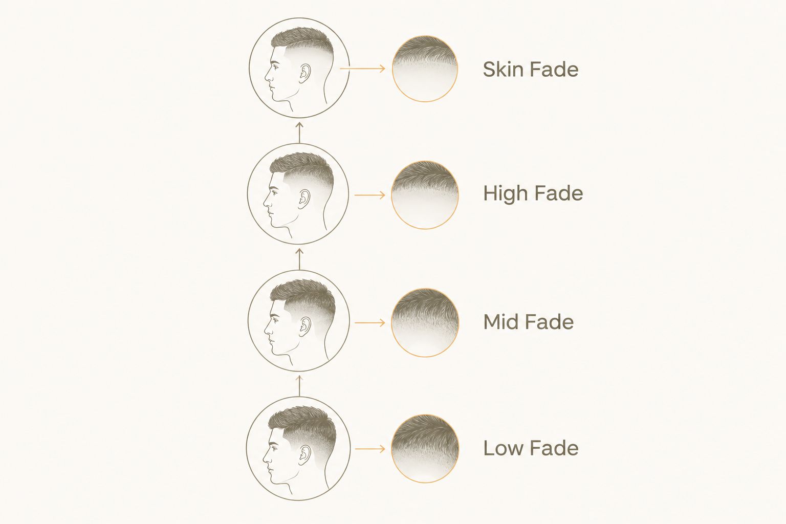 四款fade裝由Low Fade到Skin Fade的漸變高度比較圖