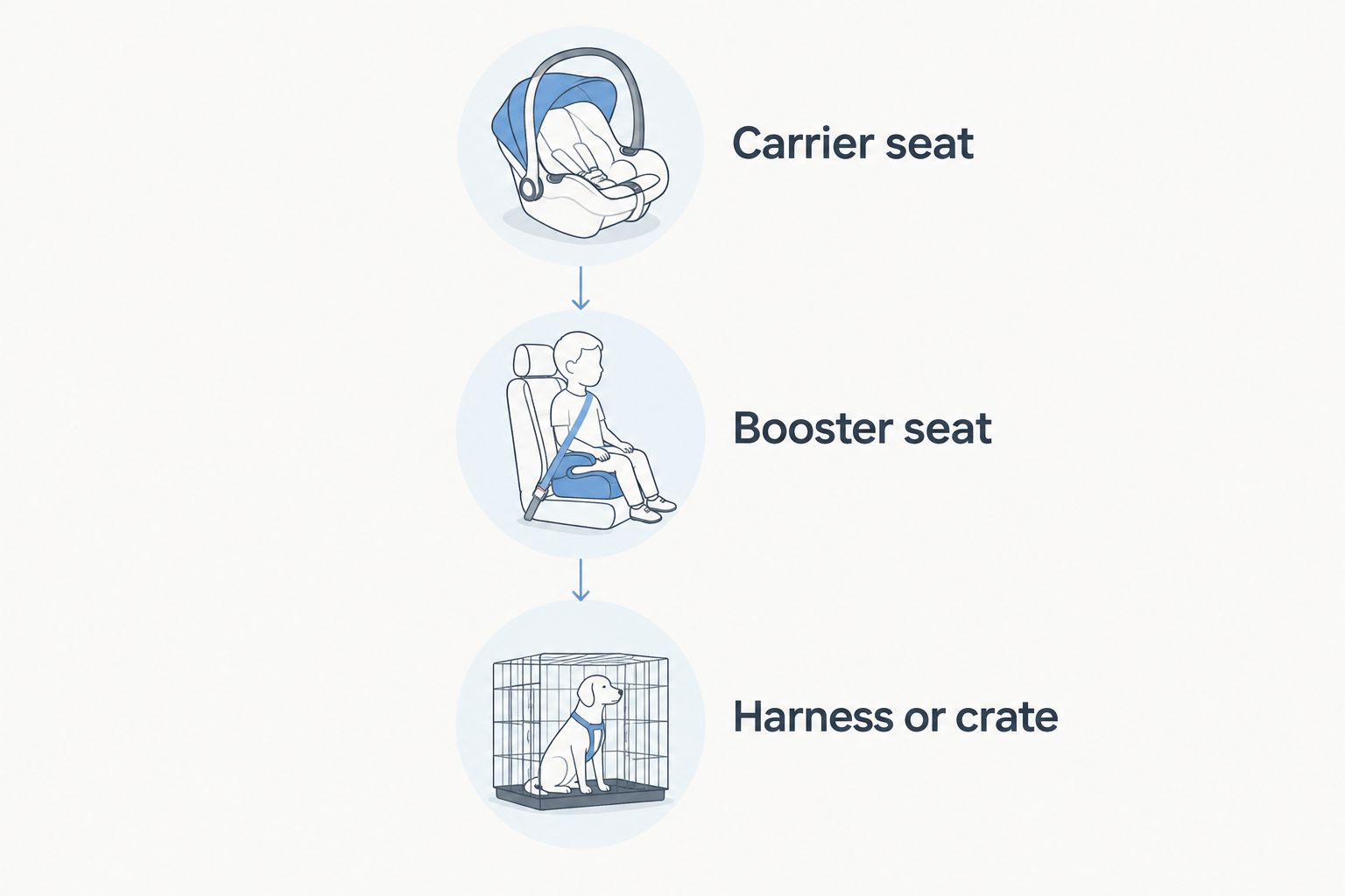 Timeline showing when to switch a Bulldog puppy between car seat types