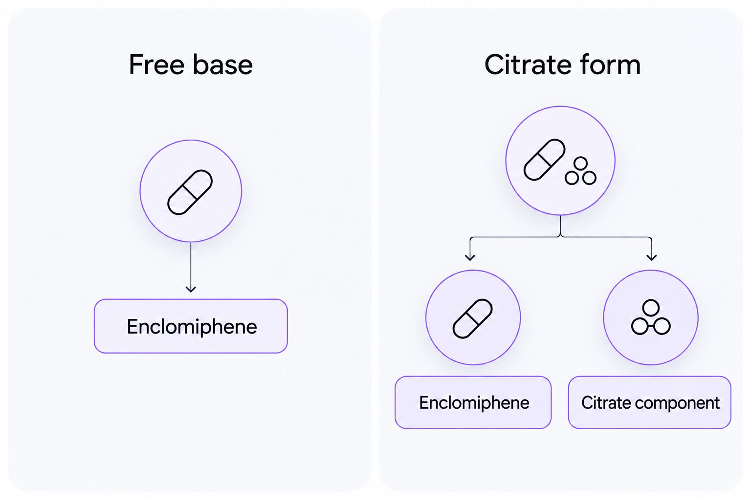 Chemical-form comparison showing the citrate component alongside enclomiphene