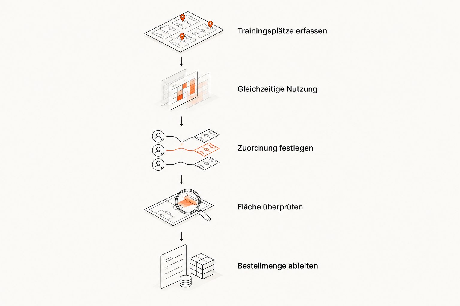 Planungsschritte von den Trainingsplätzen bis zur Bestellmenge der Hantelbänke