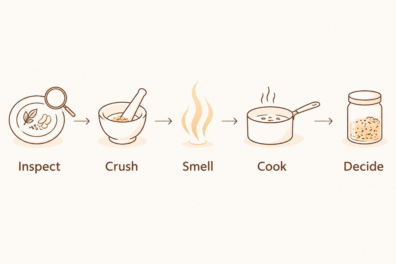 Five steps for checking whole spices: inspect, crush, smell, cook, and decide.