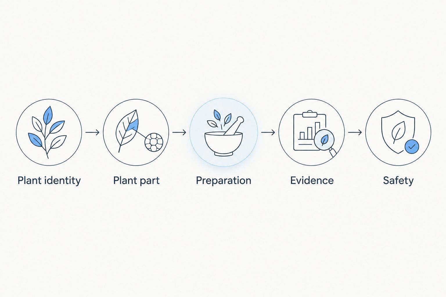Five checks for comparing an herbal preparation with its supporting evidence