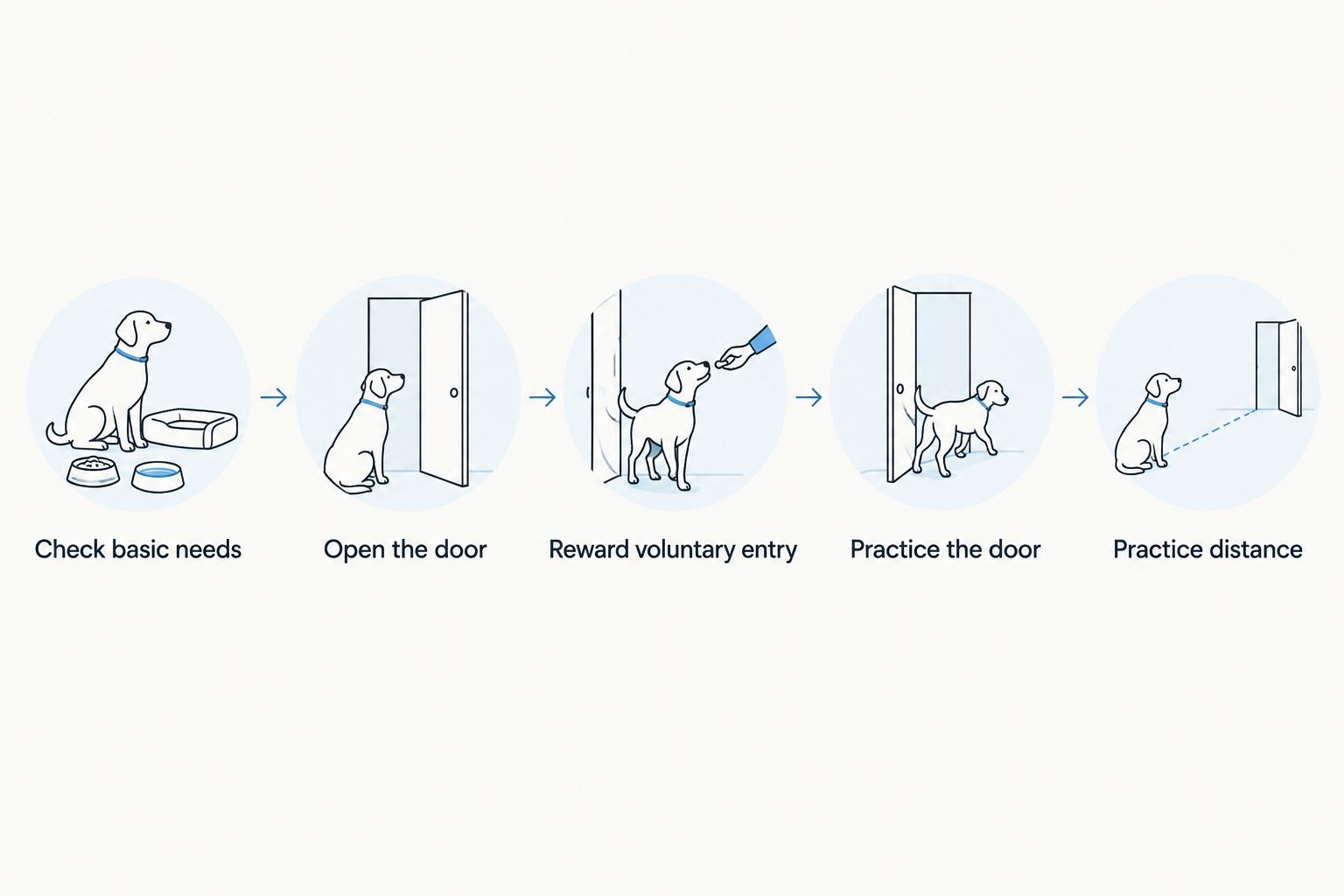 Five steps for introducing a crate without rushing confinement or time apart