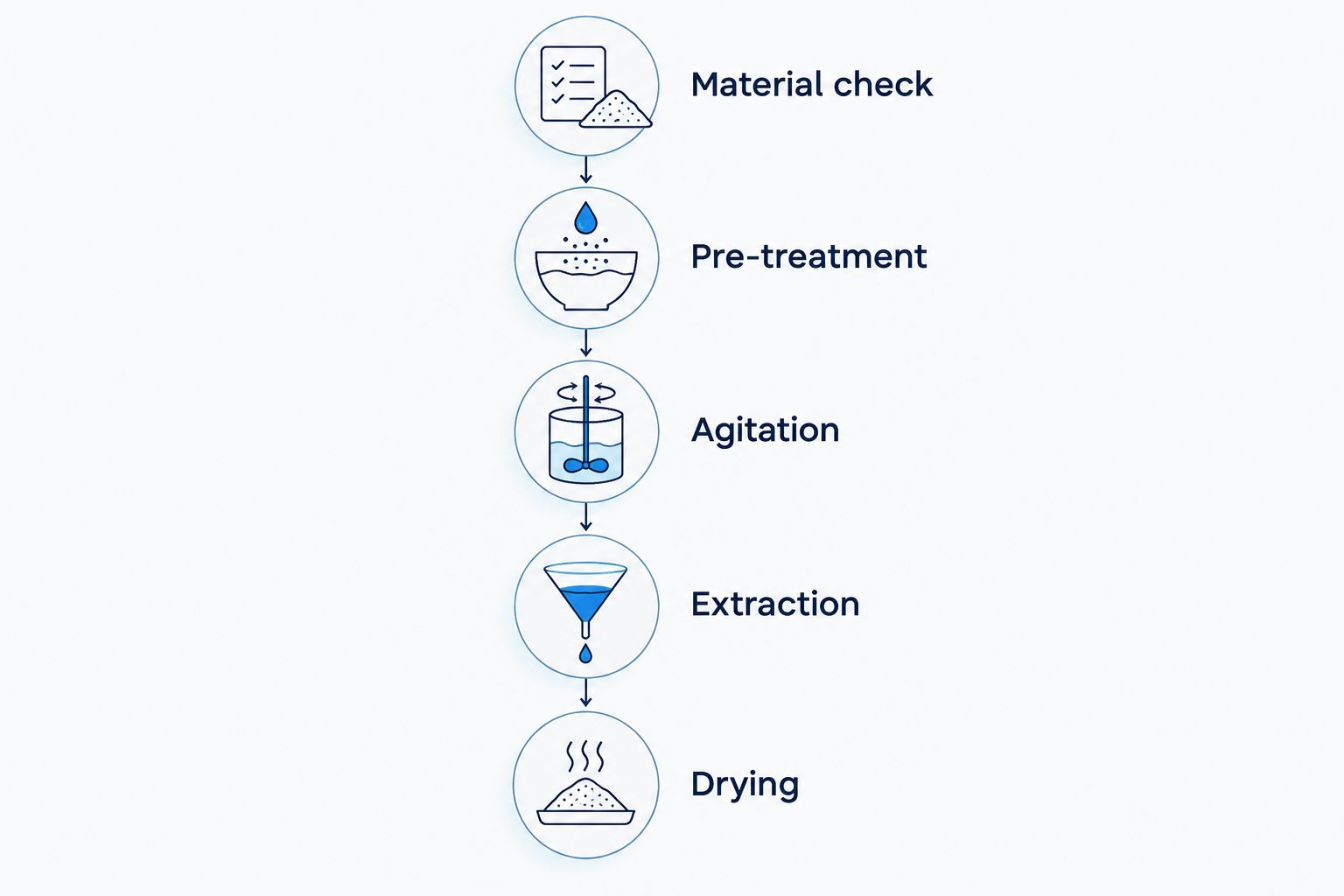 Carpet-cleaning stages from material inspection through treatment, extraction, and drying