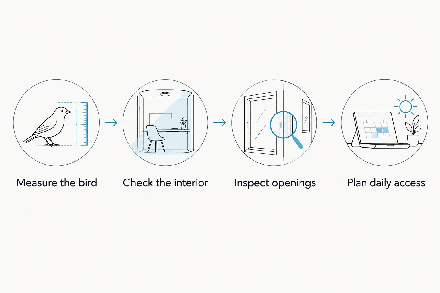 Four checks for choosing a parrot cage, from measuring the bird to planning daily access