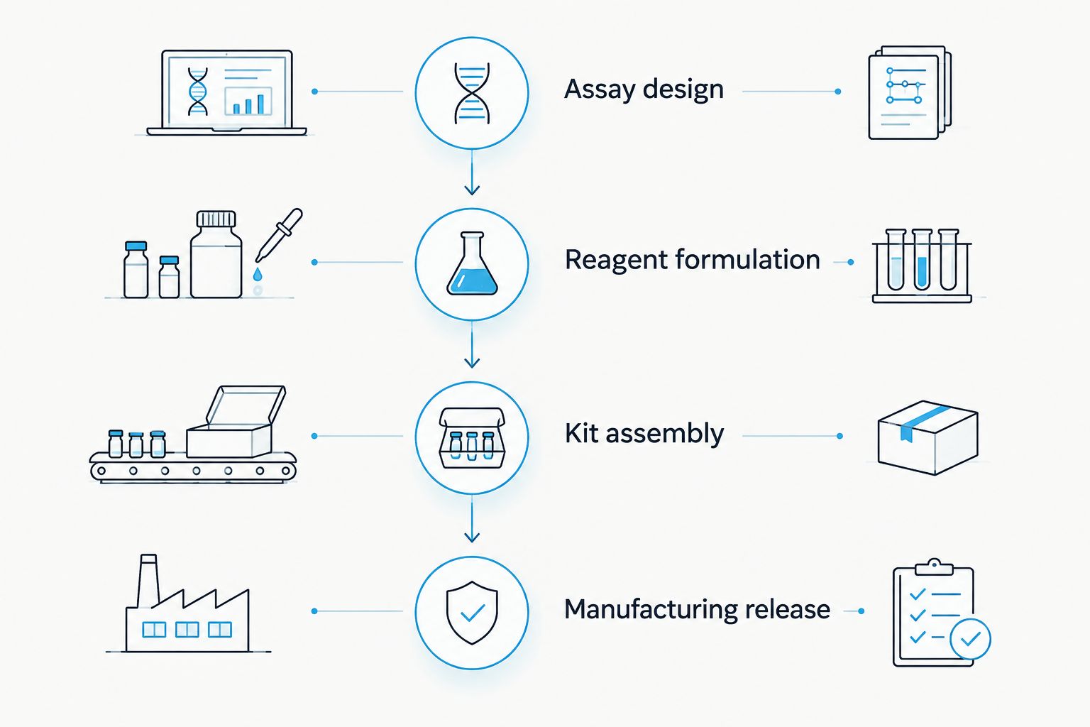 Four phases covering assay design, reagent formulation, kit assembly, and manufacturing release
