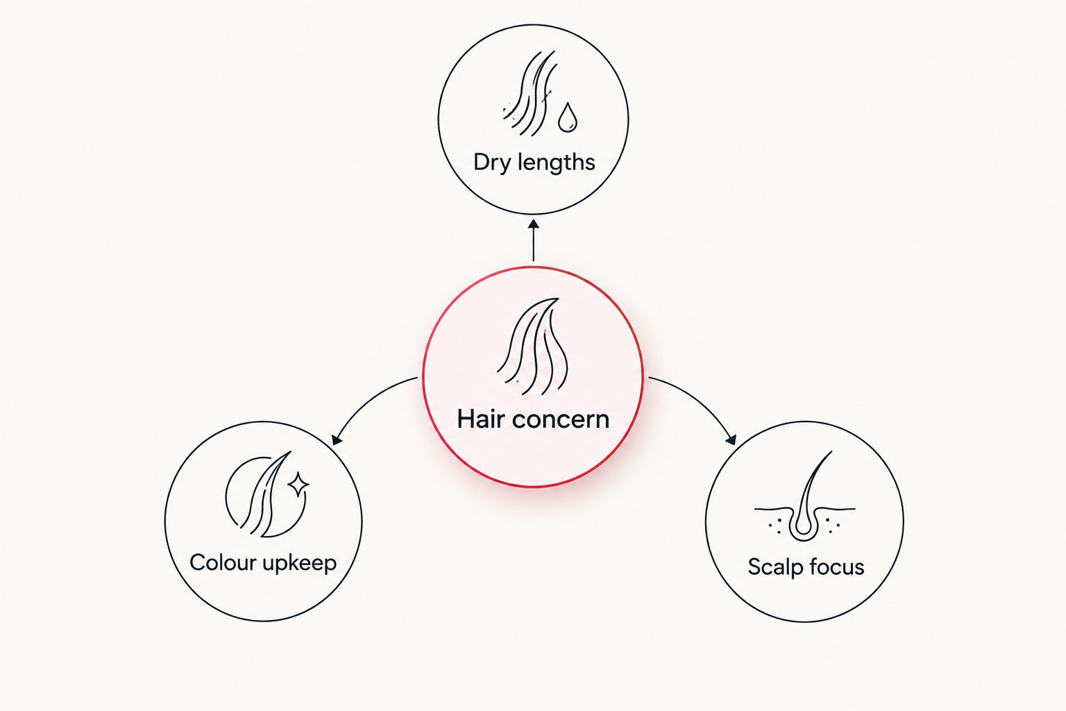Hair concern connected to dry lengths, colour upkeep and scalp focus