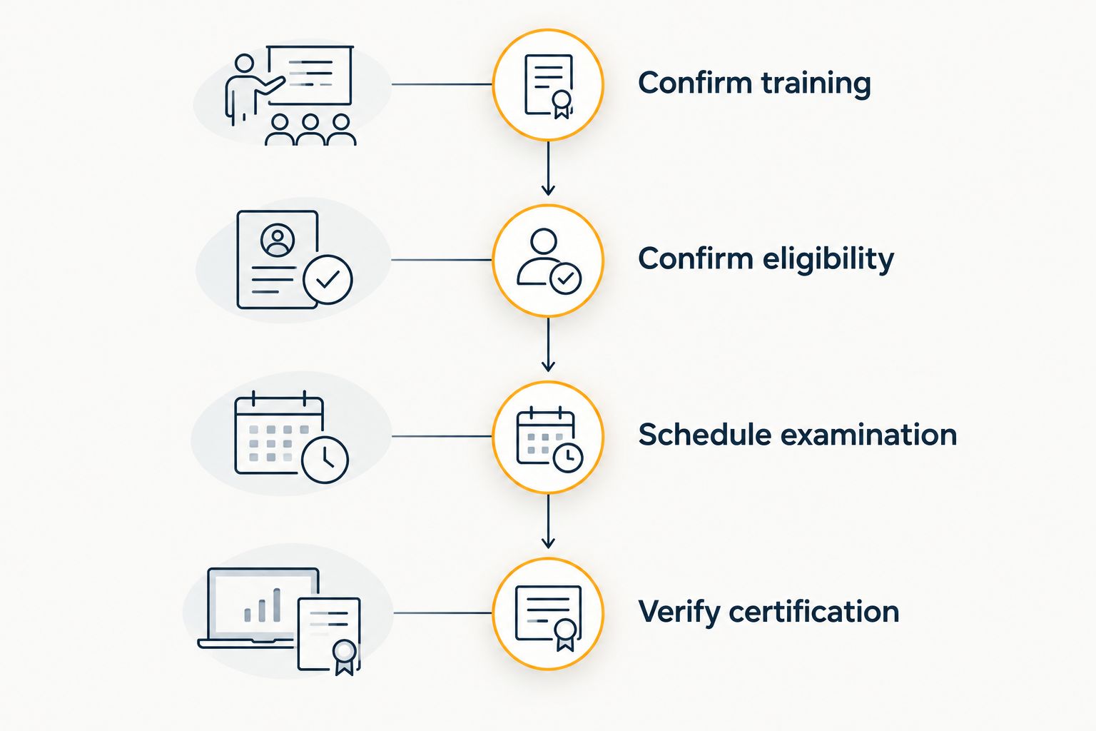 Four stages from confirming radiology training to verifying board certification