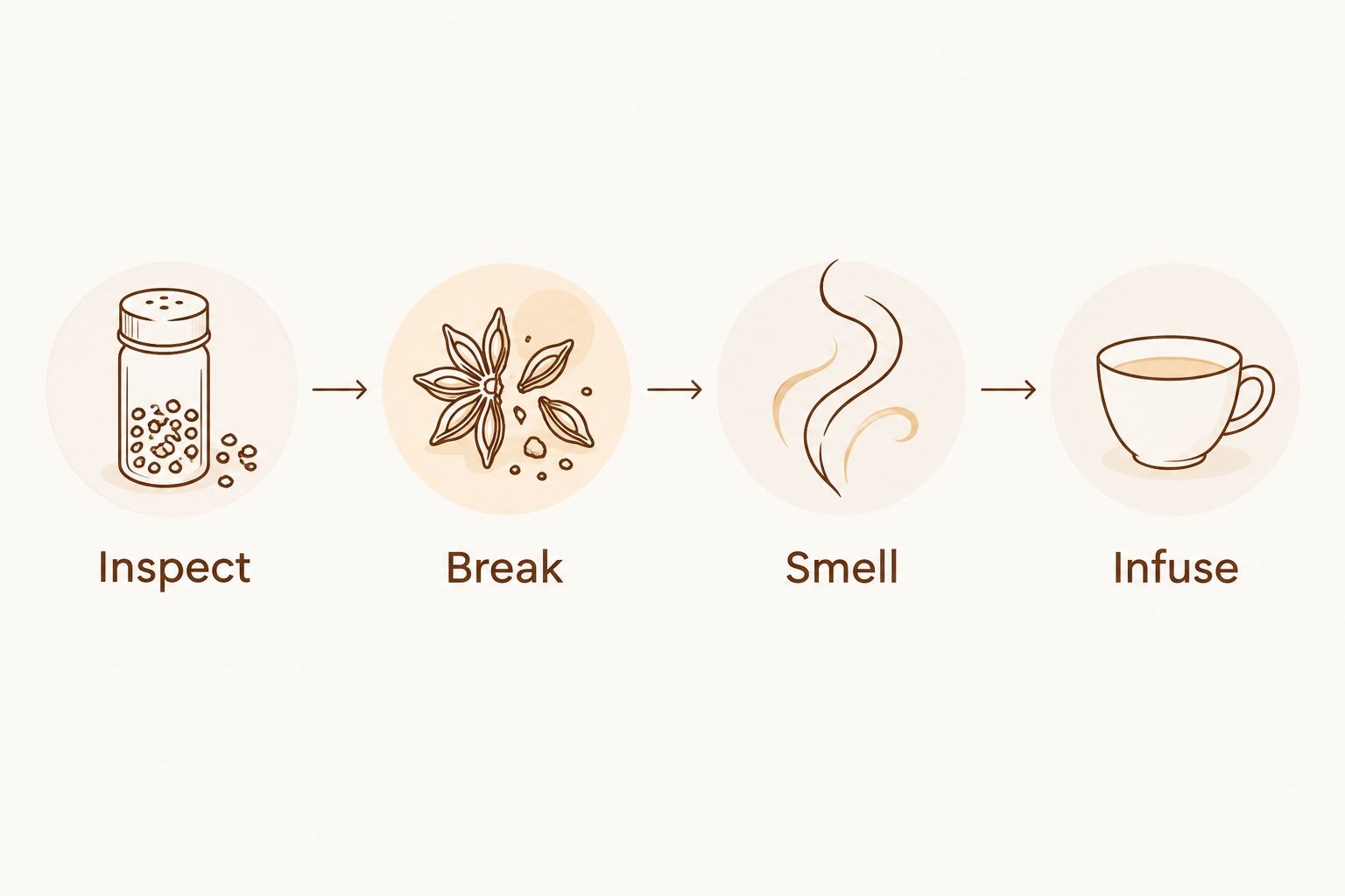 Four steps for checking star anise freshness: inspect, break, smell, and infuse.