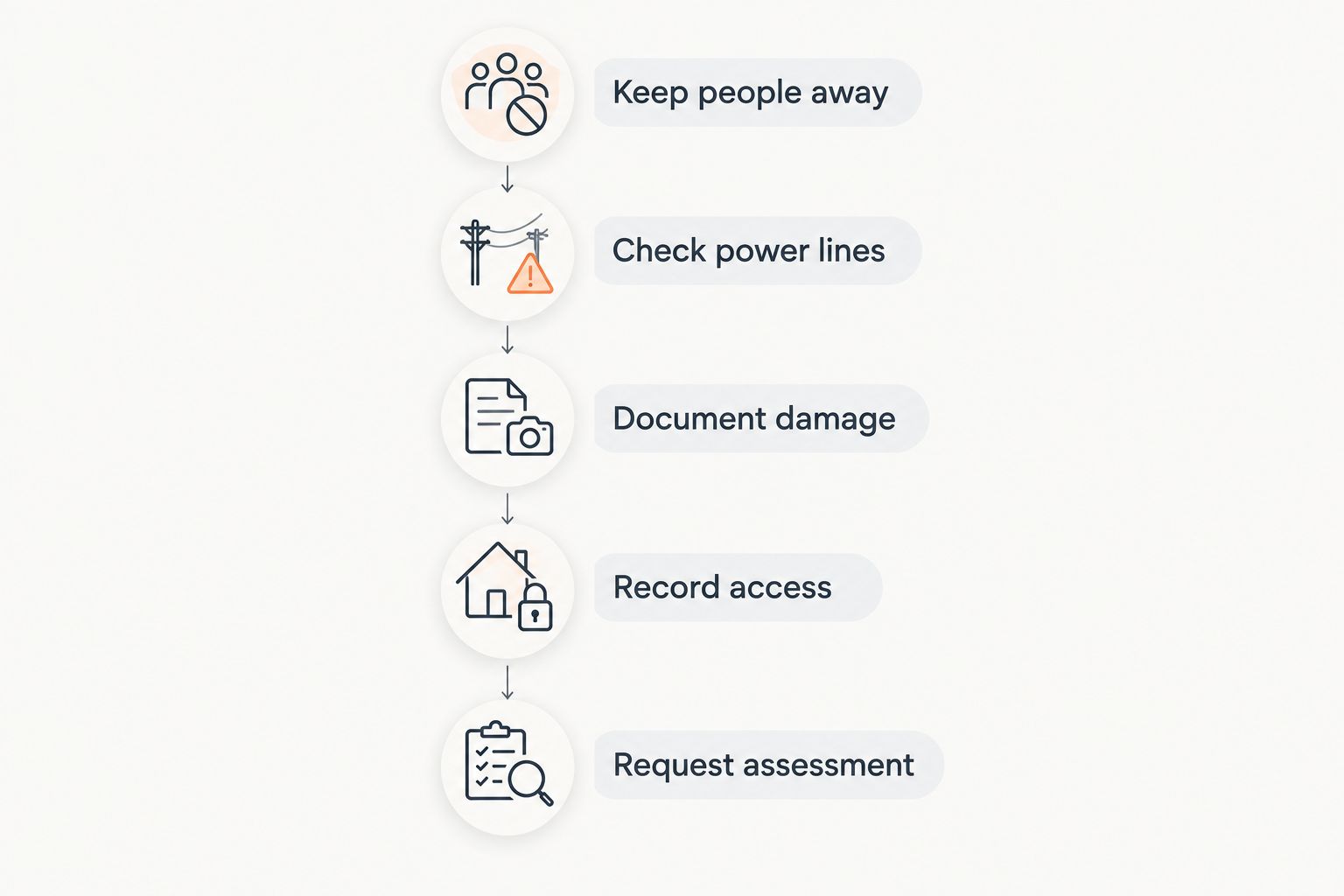 Preparation sequence from keeping people away to requesting a fallen-tree assessment