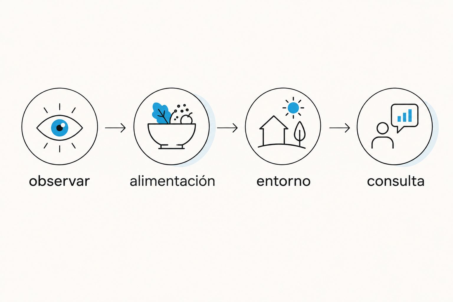 secuencia para evaluar el descanso: observar, alimentación, entorno y consulta