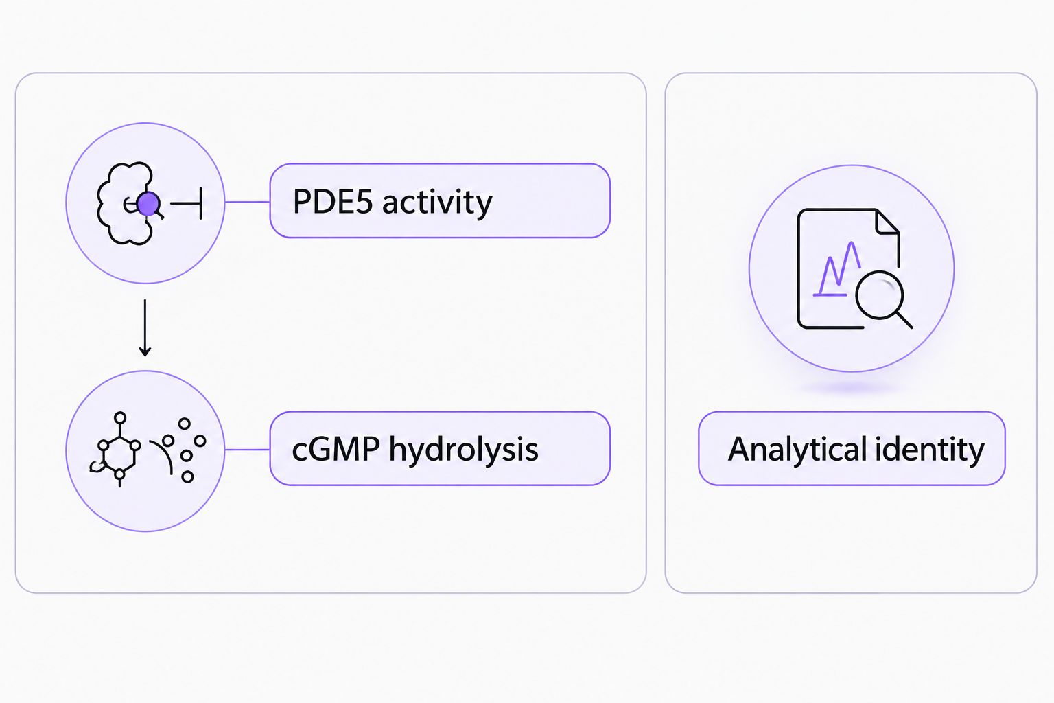 Separate panels distinguish PDE5-mediated cGMP hydrolysis from analytical confirmation of identity