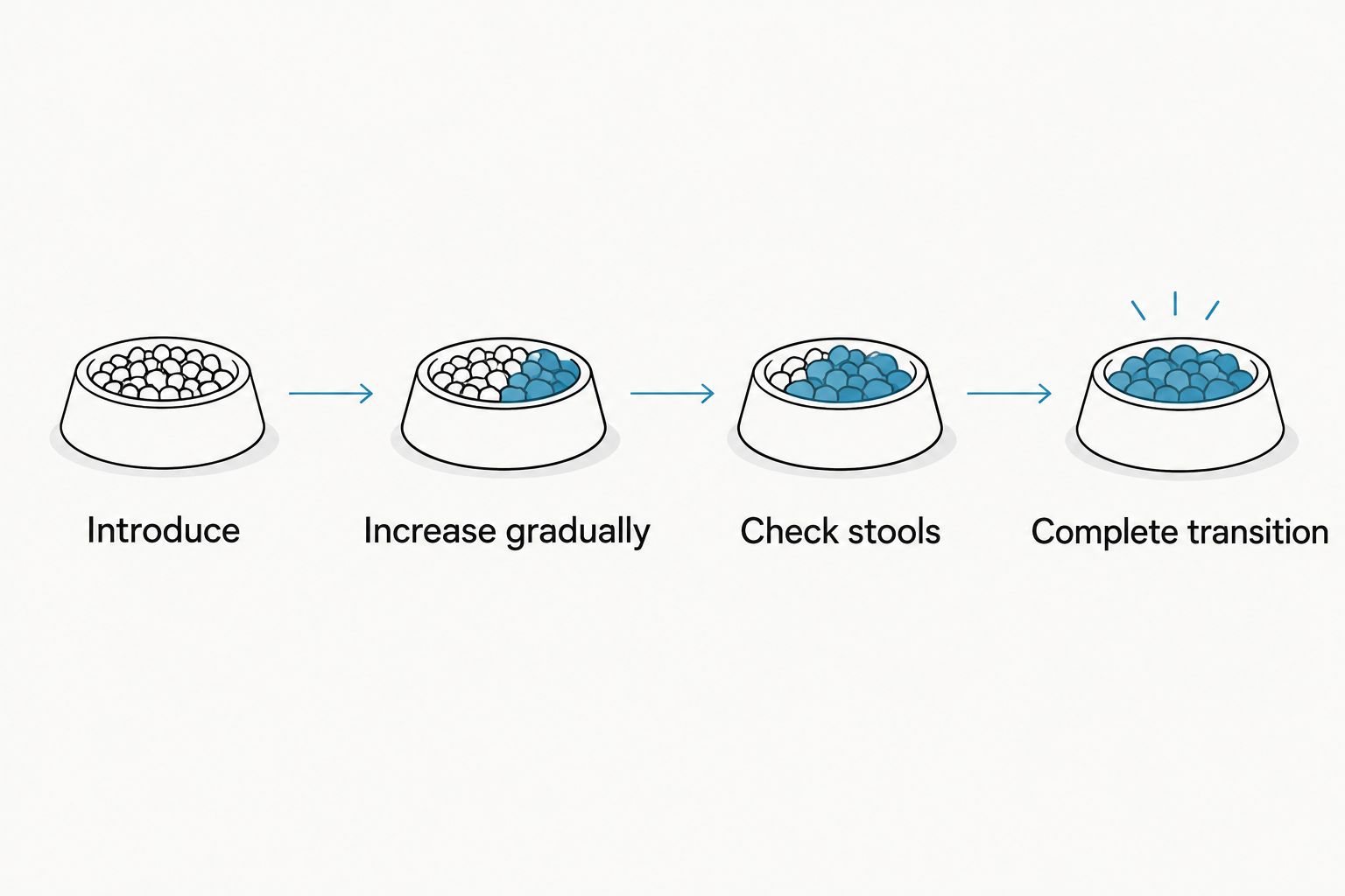 Food transition steps: introduce, increase gradually, check stools, and complete transition.