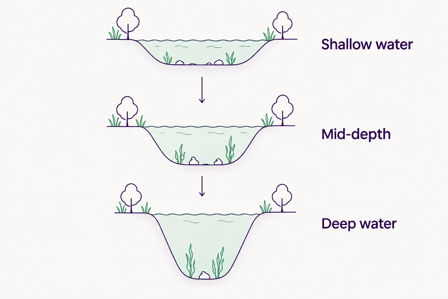Three freshwater habitat planning zones: shallow water, mid-depth, and deep water