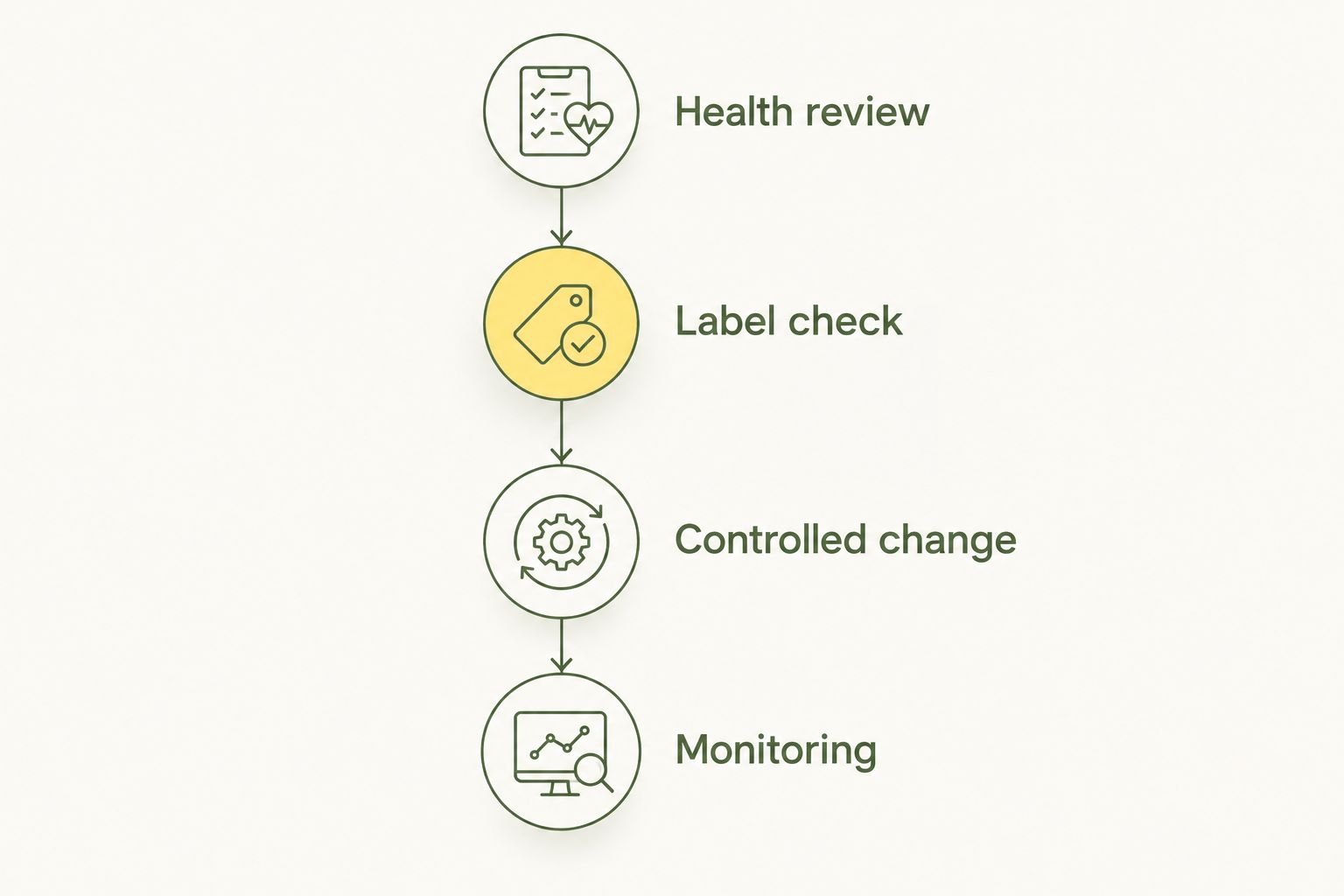 Four stages of assessing and monitoring a senior dog’s dietary change