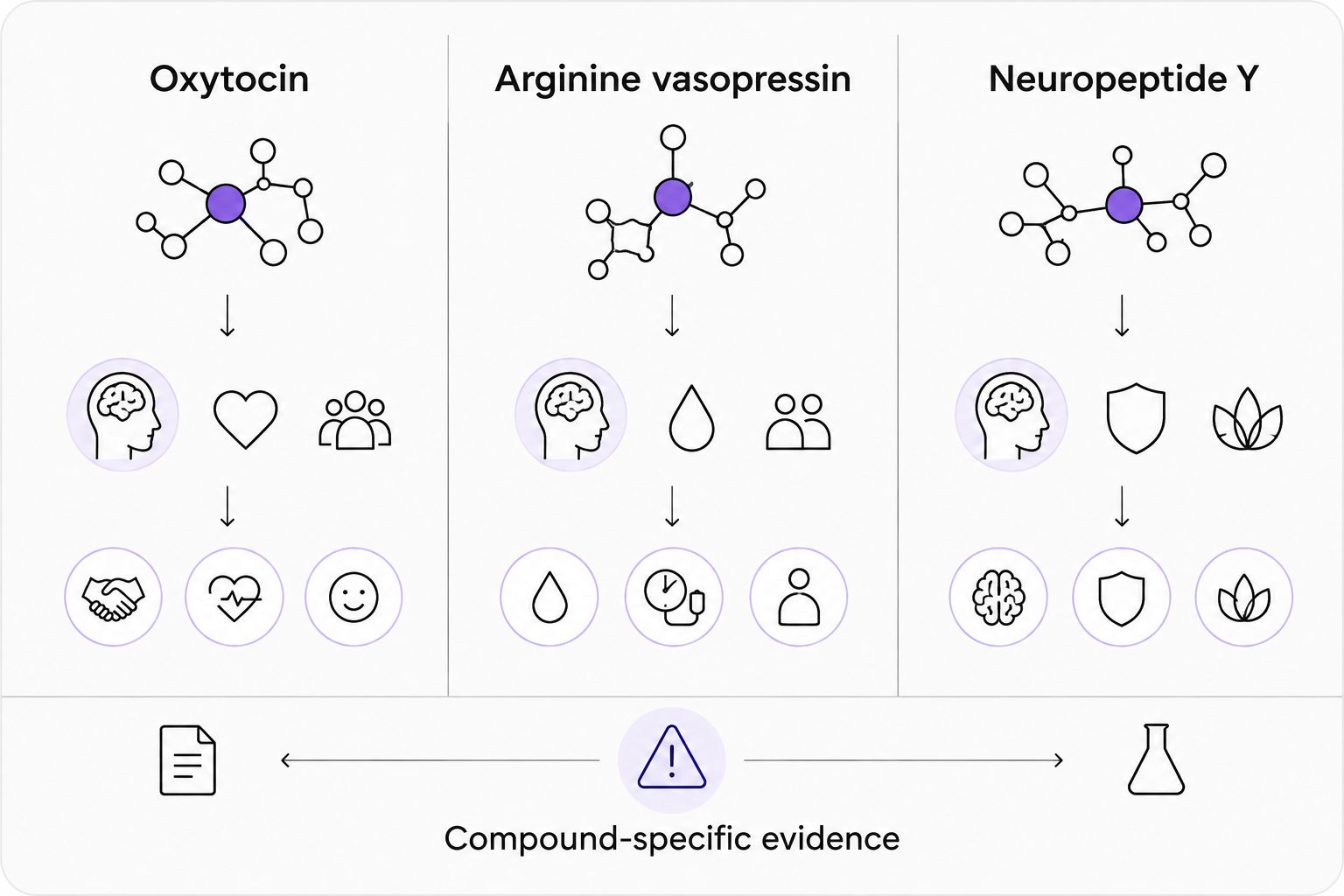 Separate panels for oxytocin, arginine vasopressin, and neuropeptide Y with a compound-specific evidence reminder