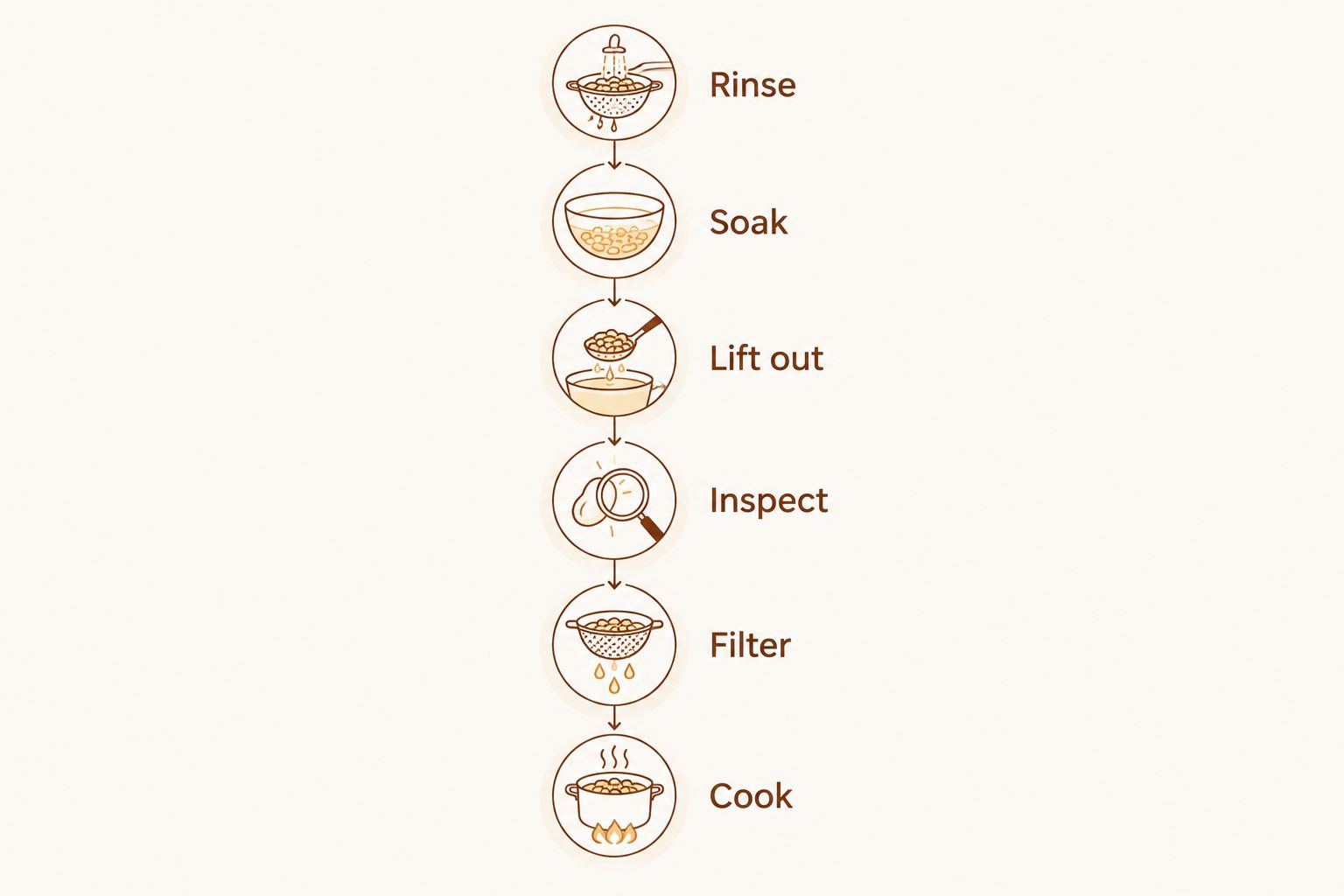 Six steps for preparing dried morels, from rinsing and soaking to filtering and cooking