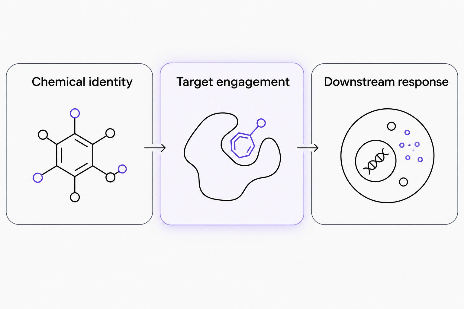 Three separate evidence categories distinguish chemical identity, target engagement, and downstream response.