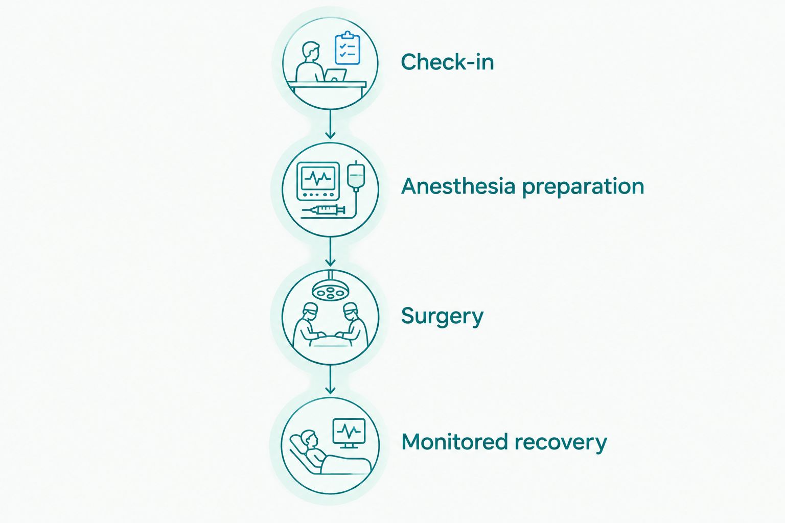 Surgery-day phases from check-in through anesthesia preparation, surgery, and monitored recovery.