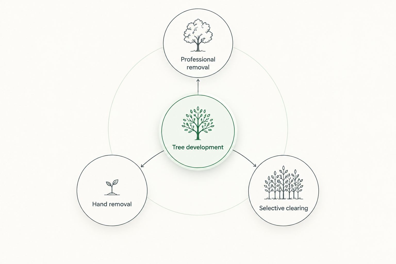 Tree development connected to professional removal, hand removal, and selective clearing