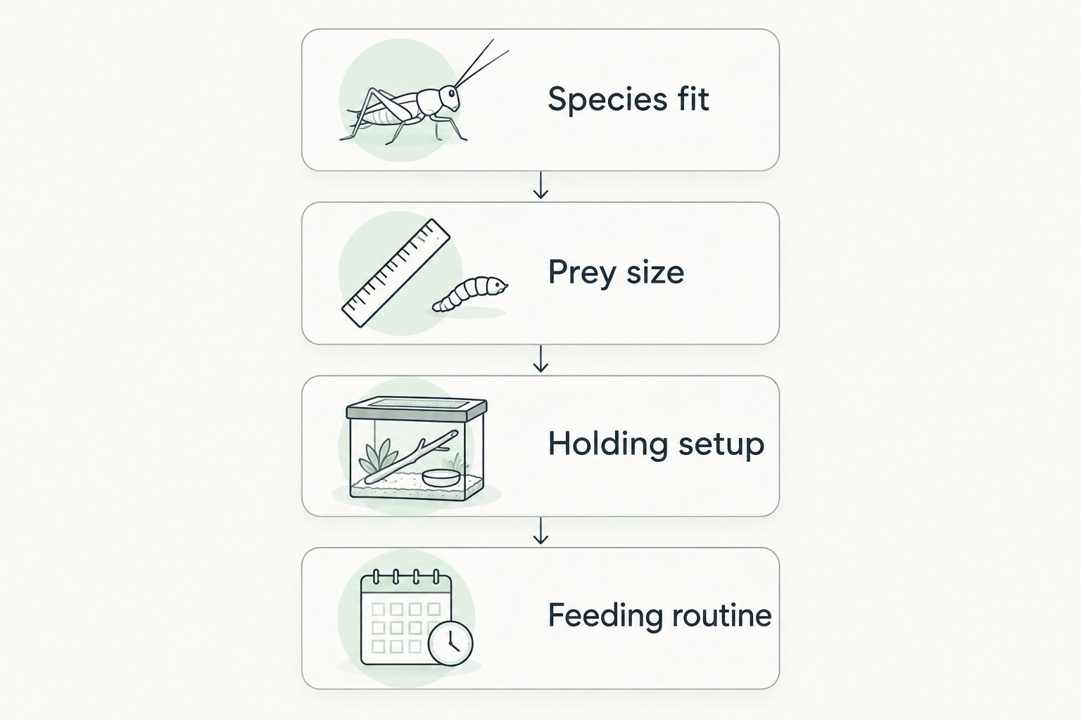 Four checks for choosing a feeder source: species fit, prey size, holding setup, and feeding routine.