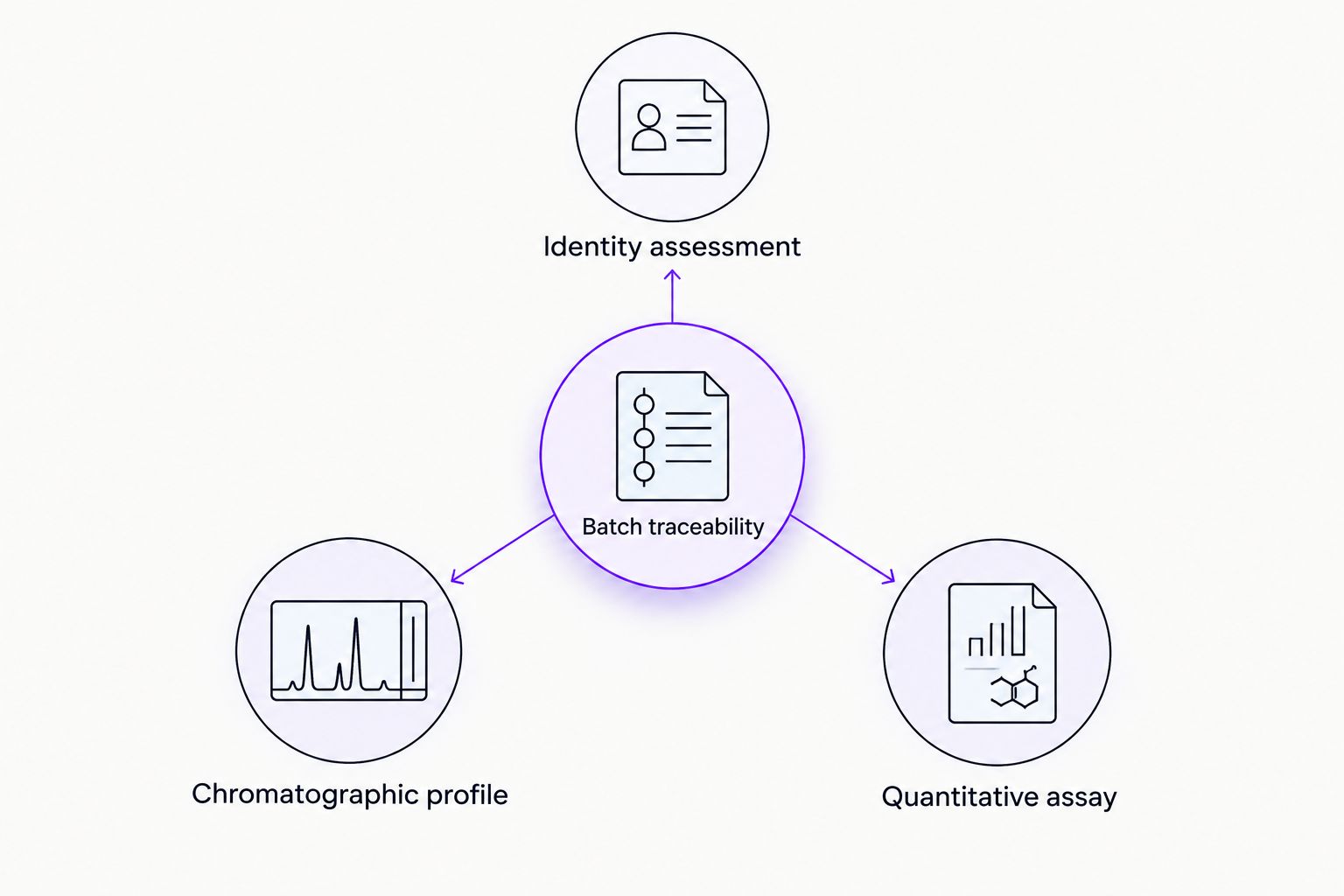 Batch traceability connects identity assessment, chromatographic evidence, and quantitative analysis.