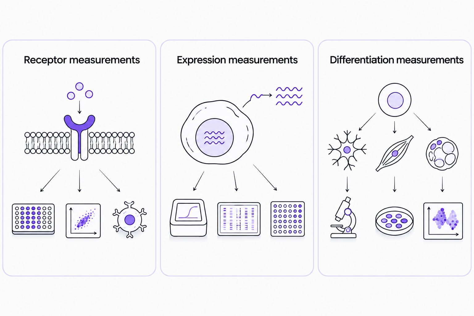 Three separate panels show receptor, expression, and differentiation measurements as distinct evidence types.