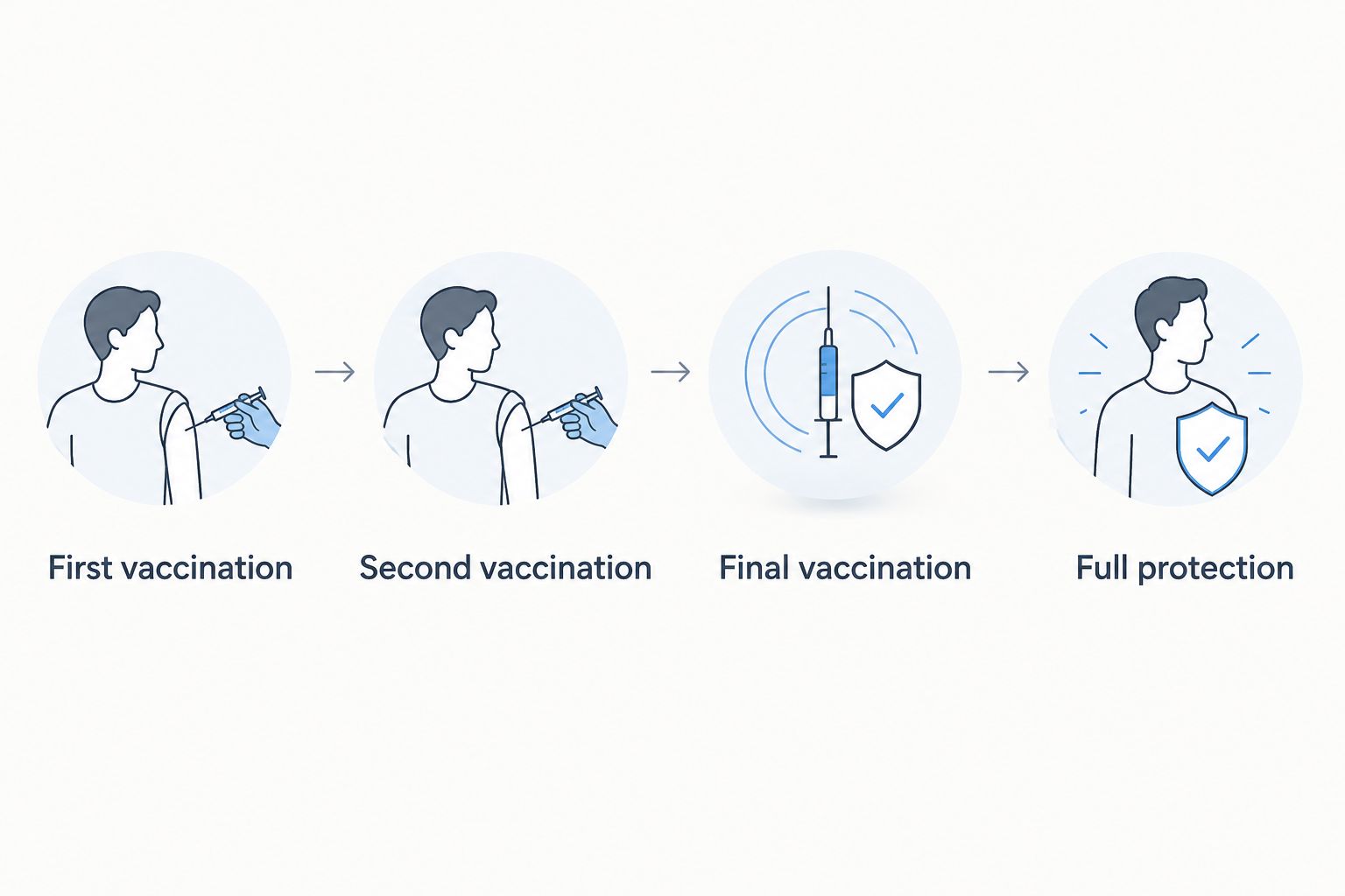 Timeline of the four stages of a kitten vaccination course
