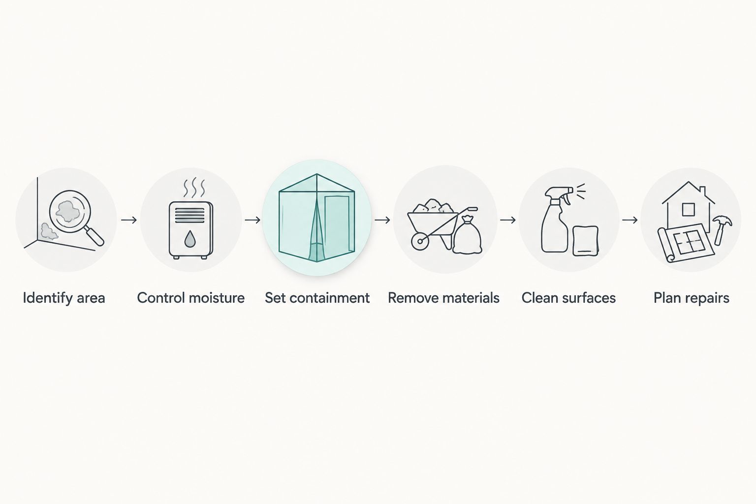 Mold remediation process from identifying the affected area to planning repairs