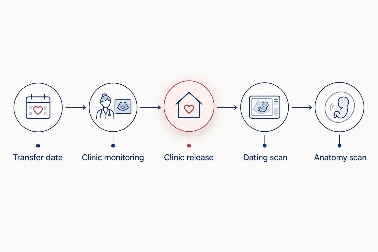 Timeline from embryo transfer through clinic release to dating and anatomy scans
