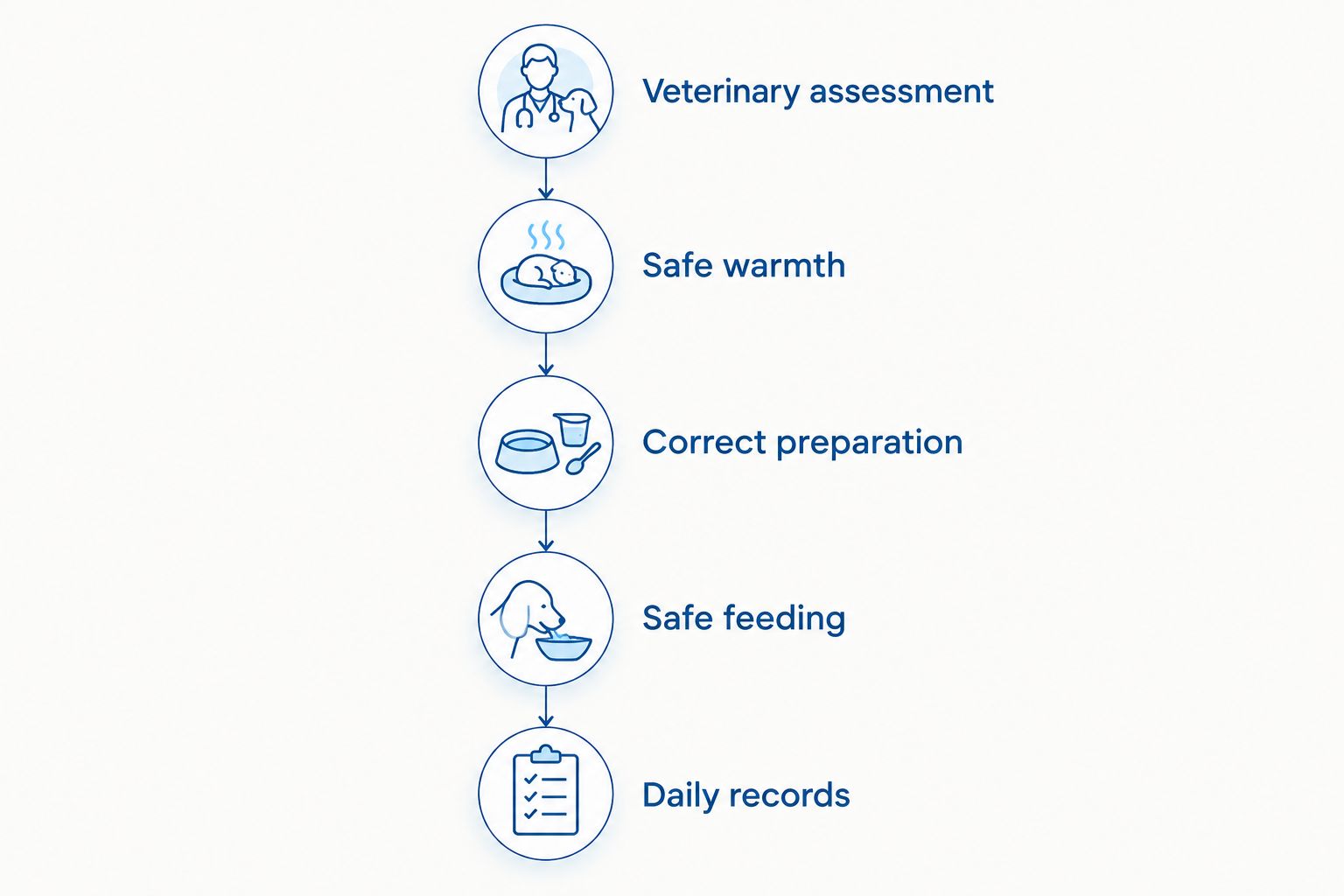 Five newborn feeding priorities, from veterinary assessment to daily records