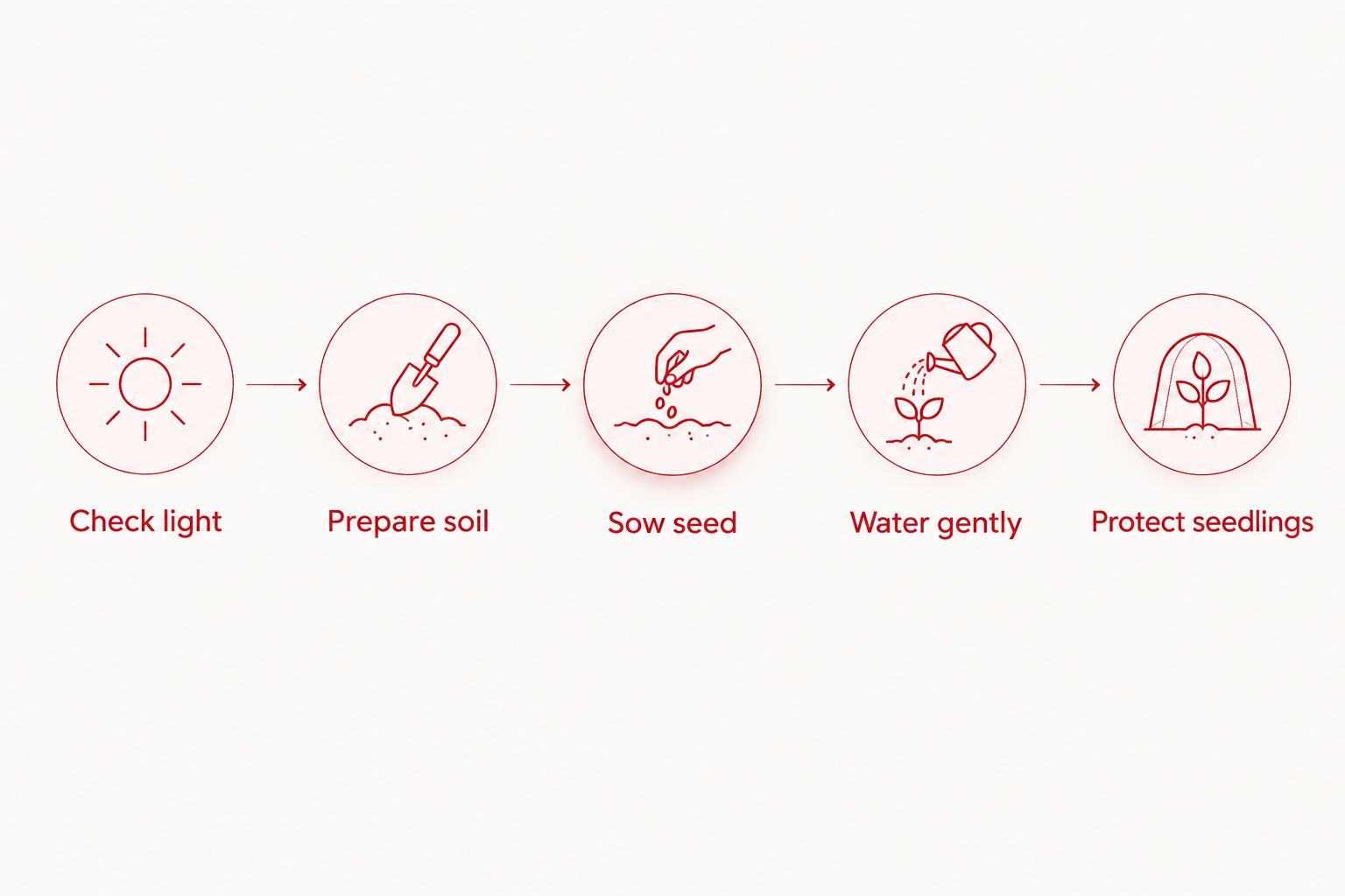 Five steps for establishing grass seed in a shaded lawn