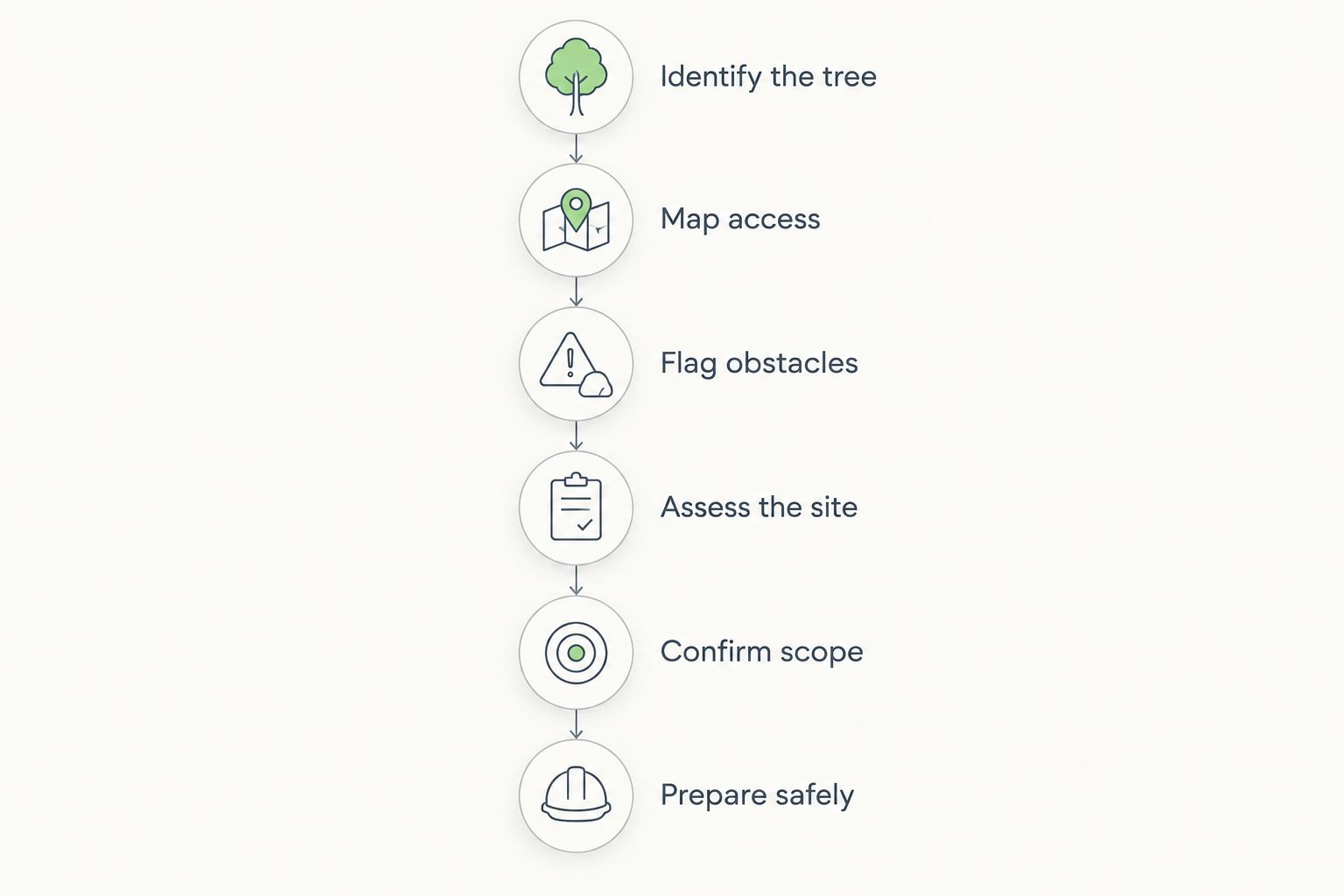 Planning sequence from identifying the tree through safe backyard preparation