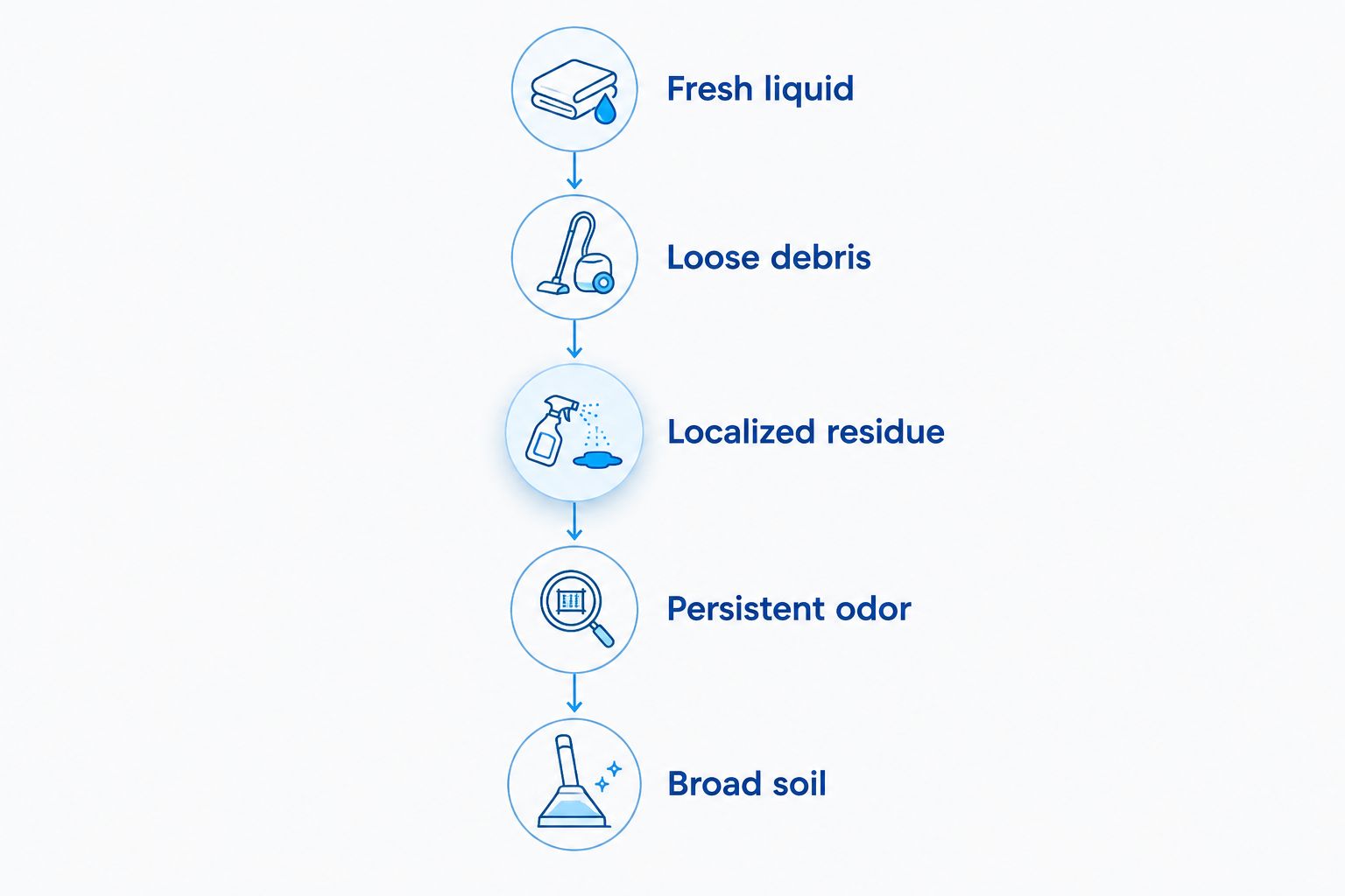 Five pet carpet problems that guide blotting, vacuuming, spot treatment, inspection, or deep cleaning.