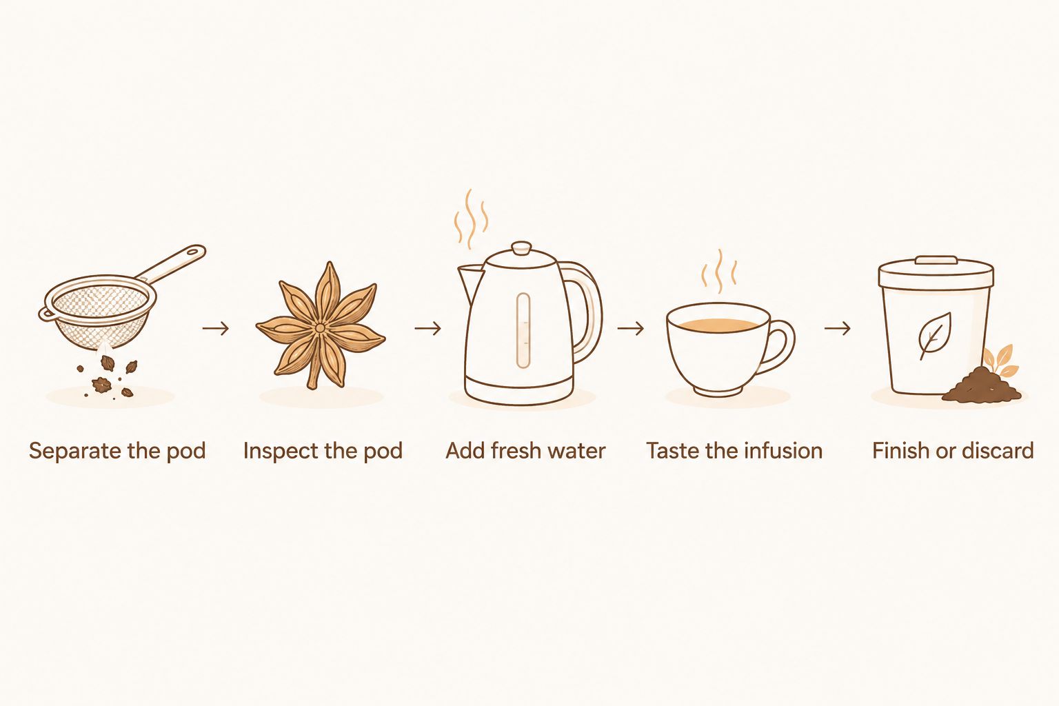 Steps for reusing a freshly steeped star anise pod and judging the next infusion