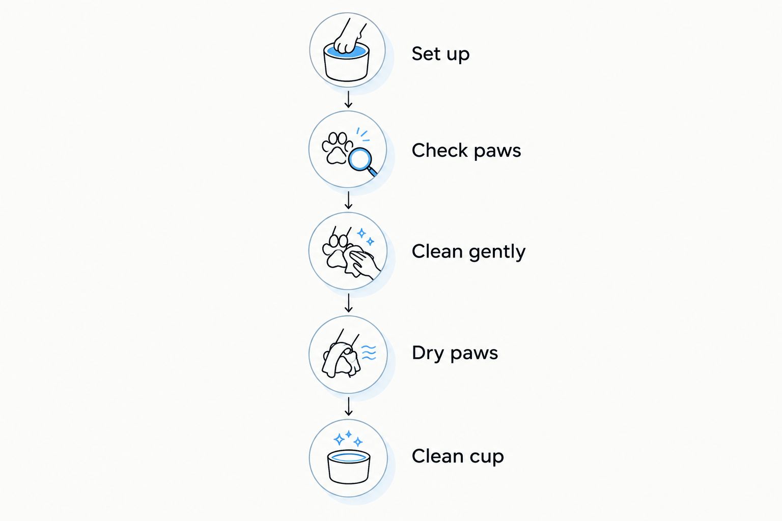 Paw-cleaning sequence from setup and inspection to drying paws and cleaning the cup