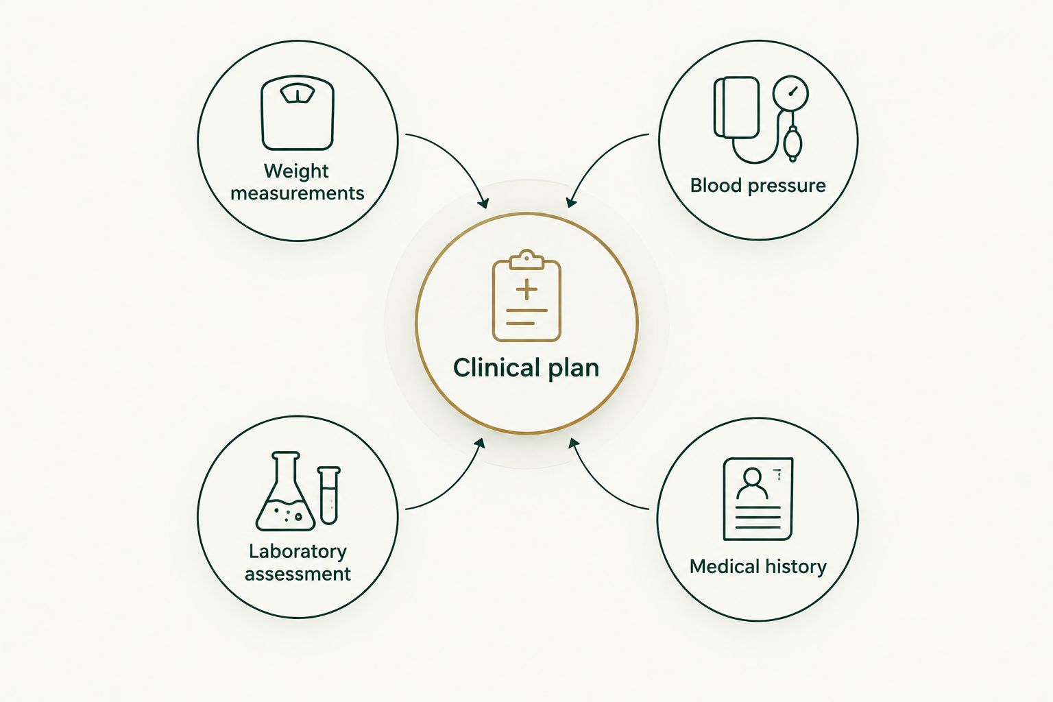 Clinical plan connecting weight measurements, blood pressure, laboratory assessment, and medical history