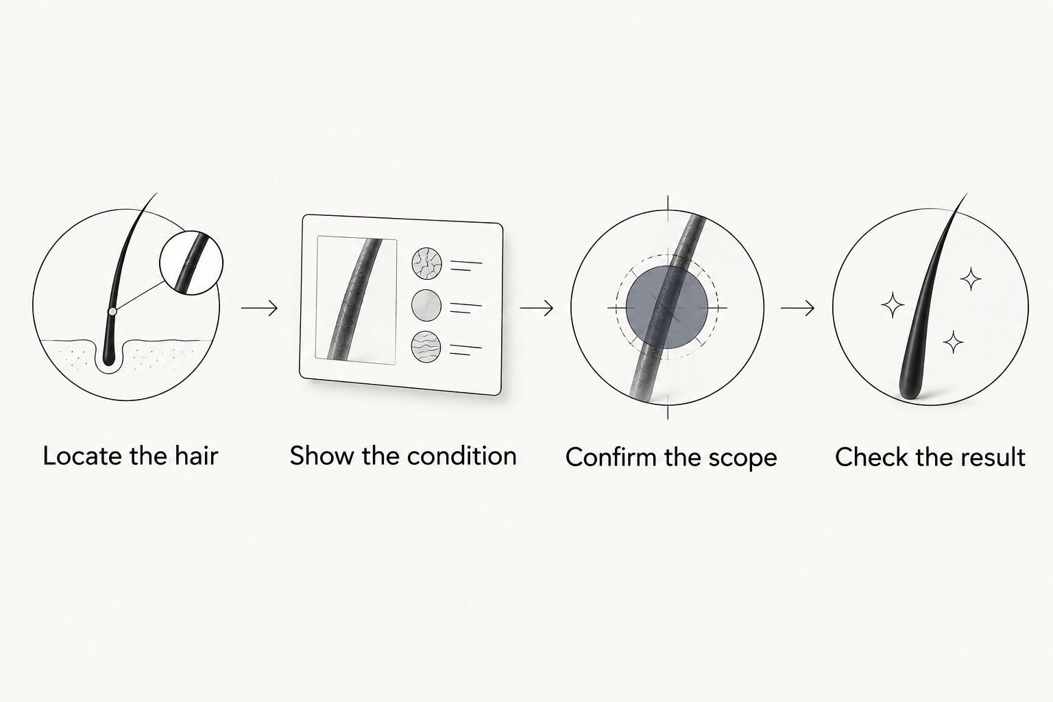 Four booking steps from locating pet hair to checking the cleaned areas