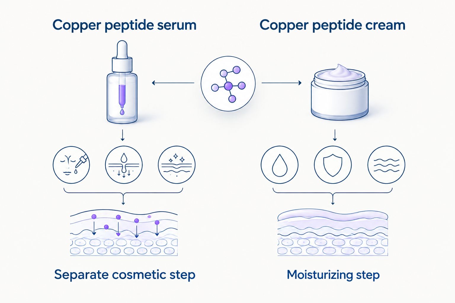 Copper peptide serum as a separate cosmetic step compared with copper peptide cream in a moisturizing step.