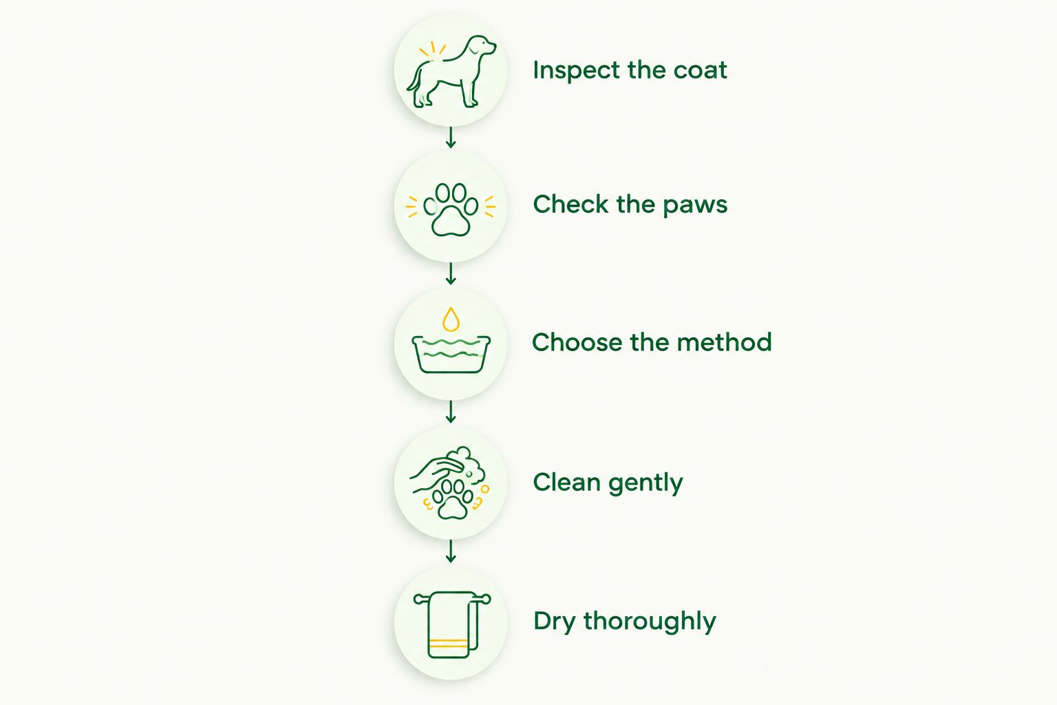 Five cleanup steps from checking the coat and paws to gentle cleaning and thorough drying