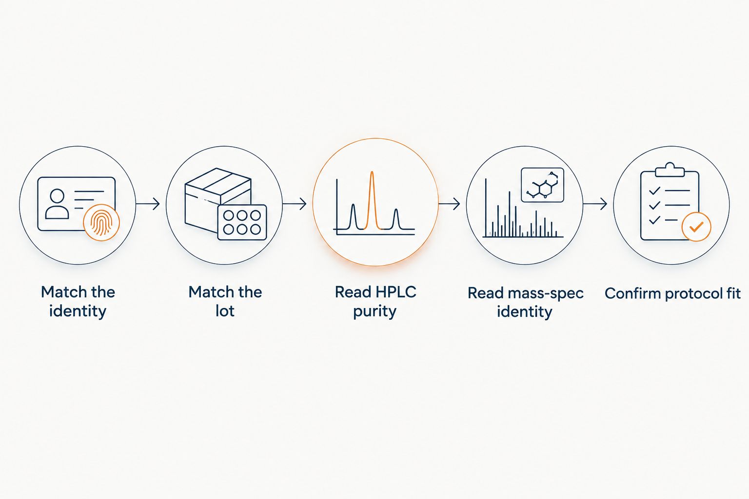 Sequence of identity, lot, HPLC, mass-spec and protocol checks for a research peptide